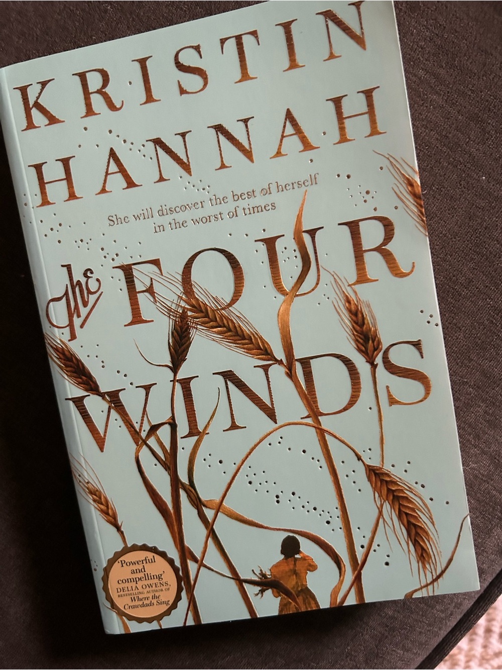 The Four Winds PB Book